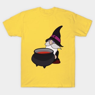 The Wizard and the Cauldron T-Shirt